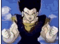 vegetto1.gif